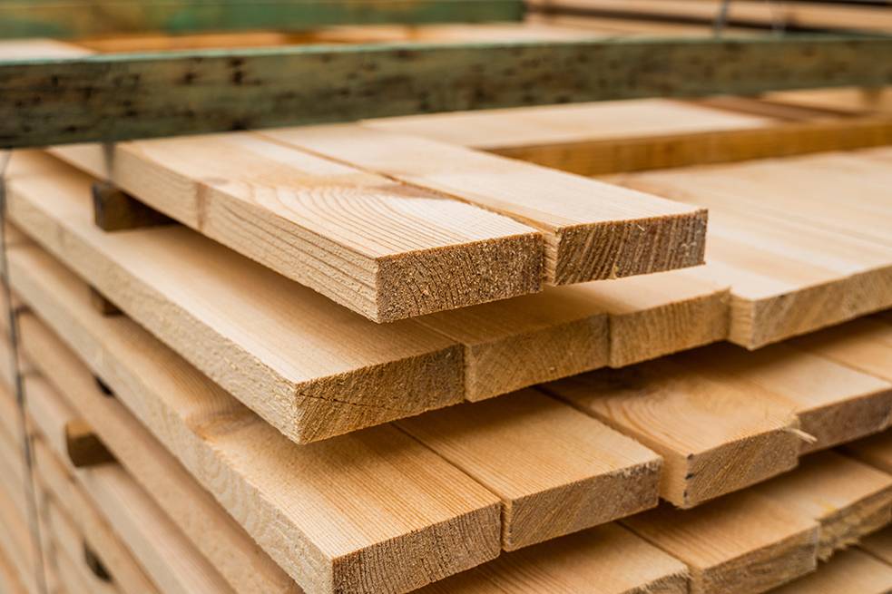 mesure résistance mécanique du bois Nice